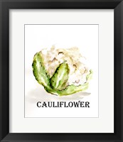 Framed 'Veggie Sketch VI-Cauliflower' border=
