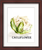 Framed Veggie Sketch VI-Cauliflower