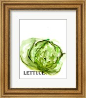 Framed Veggie Sketch IX-Lettuce