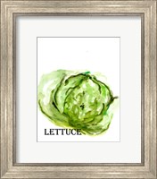 Framed 'Veggie Sketch IX-Lettuce' border=