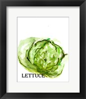 Framed Veggie Sketch IX-Lettuce