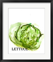 Veggie Sketch IX-Lettuce Framed Print