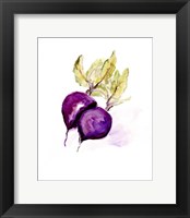 Framed Veggie Sketch plain III-Beets