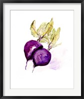 Framed Veggie Sketch plain III-Beets