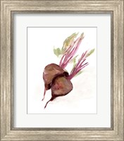 Framed Veggie Sketch plain IV-Brown Beets