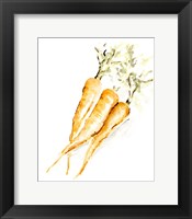 Framed Veggie Sketch plain V-Carrots