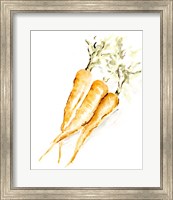 Framed Veggie Sketch plain V-Carrots