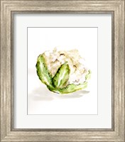 Framed Veggie Sketch plain VI-Cauliflower