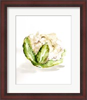 Framed Veggie Sketch plain VI-Cauliflower