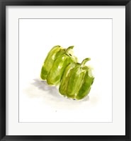 Framed Veggie Sketch plain VIII-Green Pepper