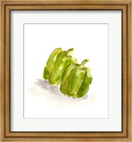 Framed Veggie Sketch plain VIII-Green Pepper