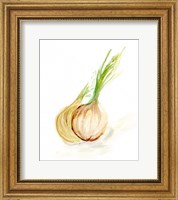 Framed Veggie Sketch plain X-Onion