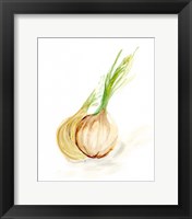 Framed Veggie Sketch plain X-Onion