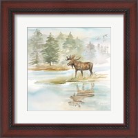 Framed Woodland Reflections II-Moose