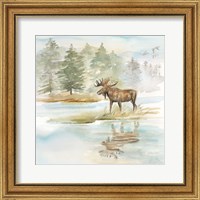 Framed 'Woodland Reflections II-Moose' border=