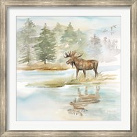 Framed Woodland Reflections II-Moose