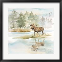 Woodland Reflections II-Moose Framed Print