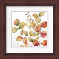 Framed Eucalyptus Leaves Spice I