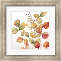 Framed Eucalyptus Leaves Spice I