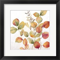 Eucalyptus Leaves Spice I Framed Print
