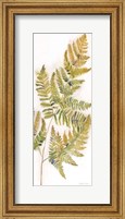 Framed Fall Botanical Panel III