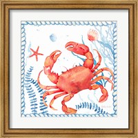 Framed Nautical Sea Life I-Crab