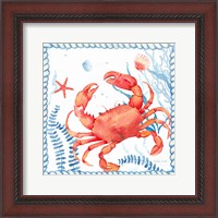 Framed Nautical Sea Life I-Crab