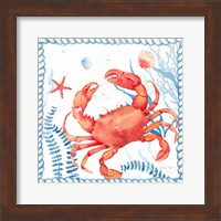 Framed 'Nautical Sea Life I-Crab' border=