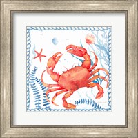 Framed 'Nautical Sea Life I-Crab' border=