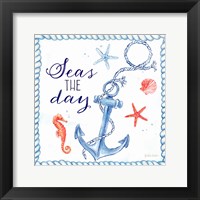 Framed Nautical Sea Life III-Anchor