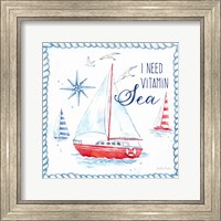 Framed Nautical Sea Life IV-Sailboat