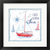 Nautical Sea Life IV-Sailboat Framed Print