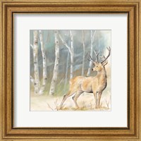 Framed 'Woodland Reflections III-Deer' border=