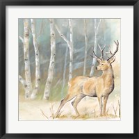 Framed Woodland Reflections III-Deer