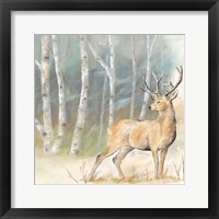 Framed Woodland Reflections III-Deer