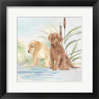 Framed 'Woodland Dogs II' border=