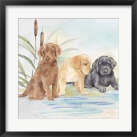 Framed Woodland Dogs III