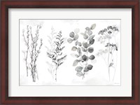 Framed Indigo Botanicals landscape neutral