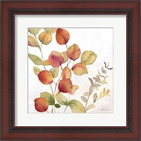 Framed Eucalyptus Leaves Spice II