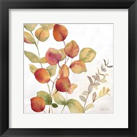 Framed Eucalyptus Leaves Spice II