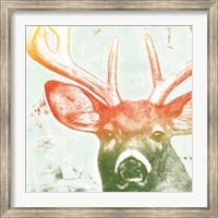 Framed Portrait of a Deer rainbow