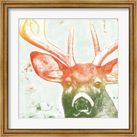 Framed Portrait of a Deer rainbow