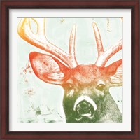 Framed 'Portrait of a Deer rainbow' border=
