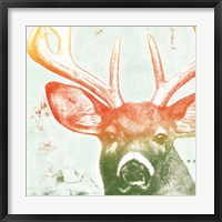 Portrait of a Deer rainbow Framed Print