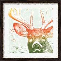 Framed 'Portrait of a Deer rainbow' border=
