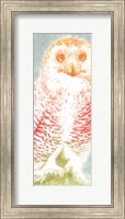 Framed Snowy Owl panel rainbow