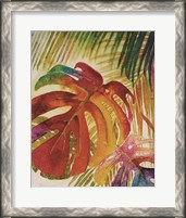 Framed Tropic Botanicals IV