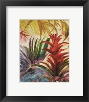 Framed 'Tropic Botanicals VI' border=