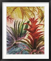 Framed Tropic Botanicals VI