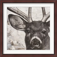 Framed Deer Portrait